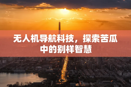 无人机导航科技，探索苦瓜中的别样智慧