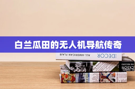 白兰瓜田的无人机导航传奇