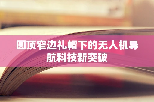 圆顶窄边礼帽下的无人机导航科技新突破