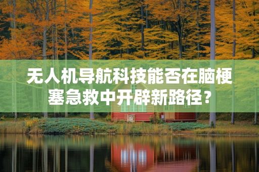 无人机导航科技能否在脑梗塞急救中开辟新路径？