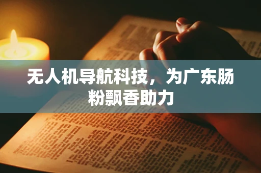 无人机导航科技，为广东肠粉飘香助力