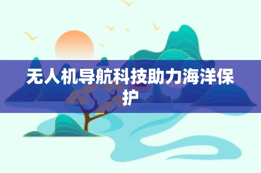无人机导航科技助力海洋保护