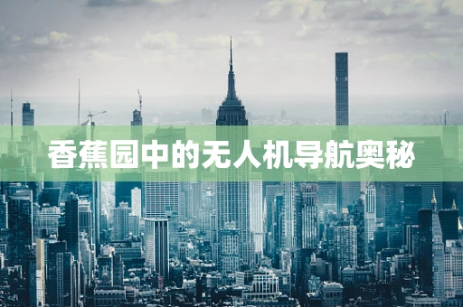 香蕉园中的无人机导航奥秘