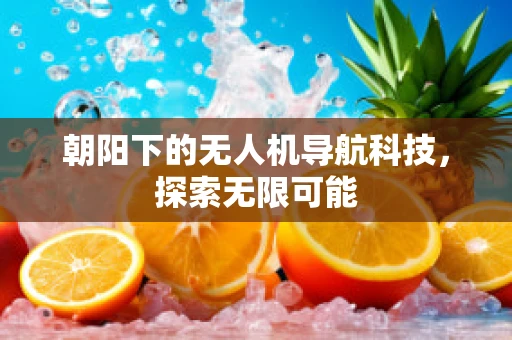 朝阳下的无人机导航科技，探索无限可能