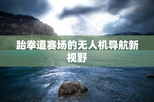 跆拳道赛场的无人机导航新视野