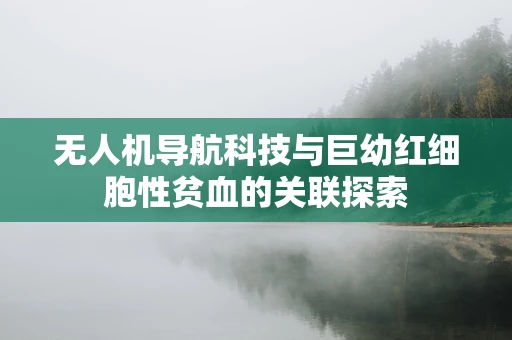 无人机导航科技与巨幼红细胞性贫血的关联探索
