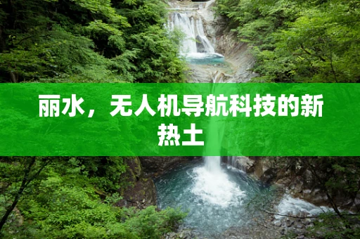 丽水，无人机导航科技的新热土