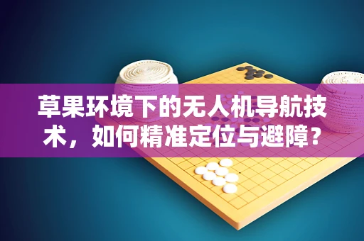草果环境下的无人机导航技术，如何精准定位与避障？