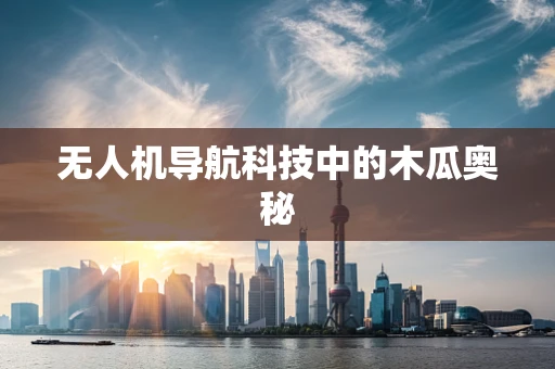 无人机导航科技中的木瓜奥秘