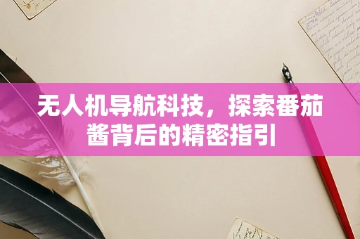 无人机导航科技，探索番茄酱背后的精密指引