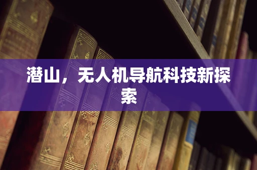 潜山，无人机导航科技新探索