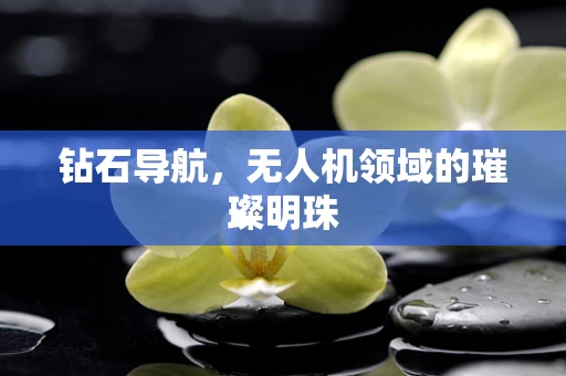 钻石导航，无人机领域的璀璨明珠