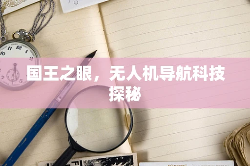 国王之眼，无人机导航科技探秘