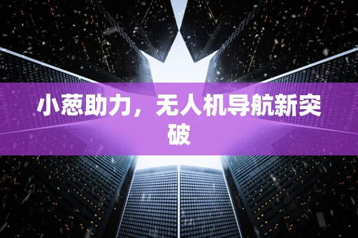 小葱助力，无人机导航新突破