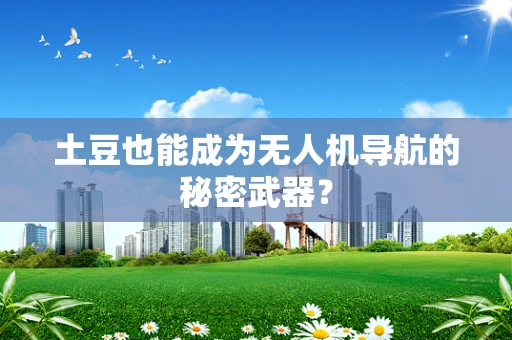 土豆也能成为无人机导航的秘密武器？
