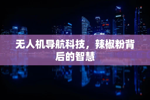无人机导航科技，辣椒粉背后的智慧