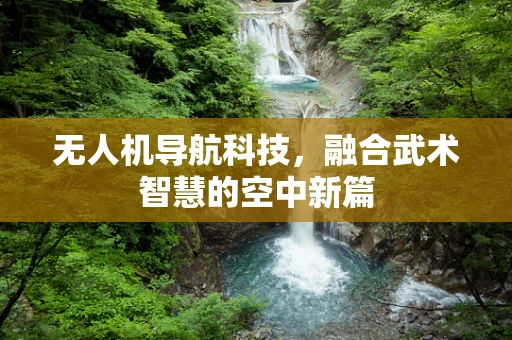 无人机导航科技，融合武术智慧的空中新篇