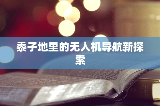 黍子地里的无人机导航新探索