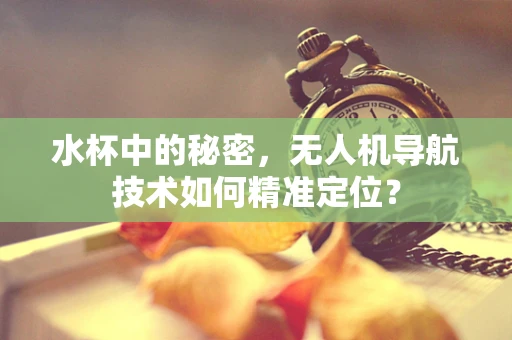 水杯中的秘密，无人机导航技术如何精准定位？