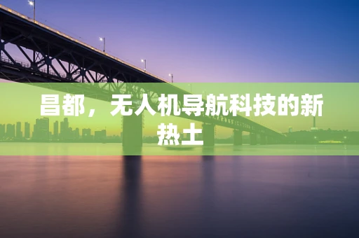 昌都，无人机导航科技的新热土