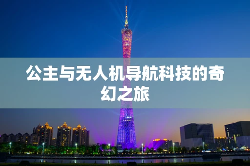 公主与无人机导航科技的奇幻之旅