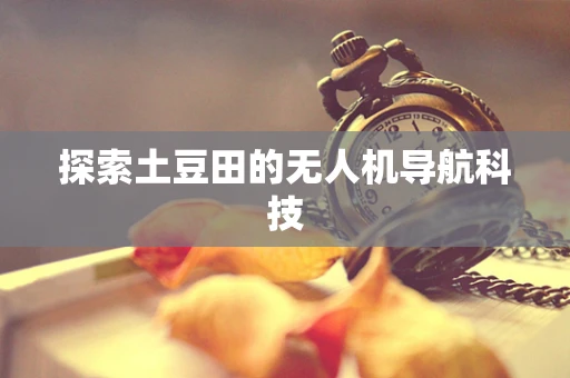 探索土豆田的无人机导航科技