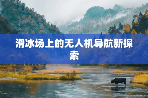 滑冰场上的无人机导航新探索