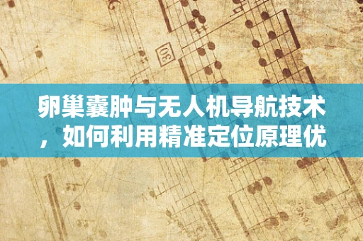 卵巢囊肿与无人机导航技术，如何利用精准定位原理优化女性健康监测？