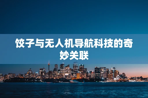 饺子与无人机导航科技的奇妙关联