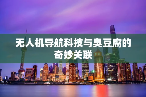 无人机导航科技与臭豆腐的奇妙关联