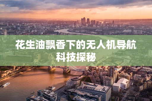 花生油飘香下的无人机导航科技探秘