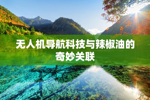 无人机导航科技与辣椒油的奇妙关联