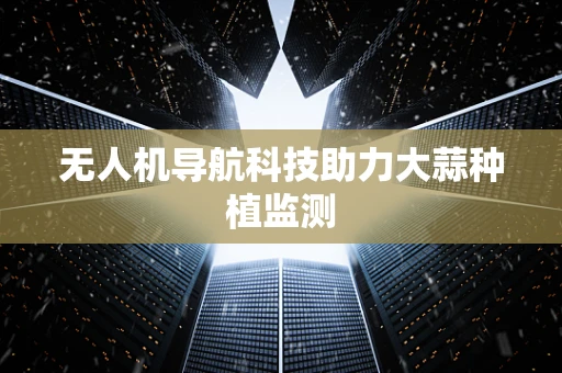 无人机导航科技助力大蒜种植监测