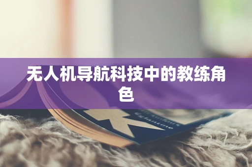 无人机导航科技中的教练角色
