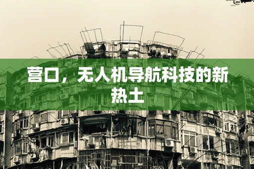 营口，无人机导航科技的新热土