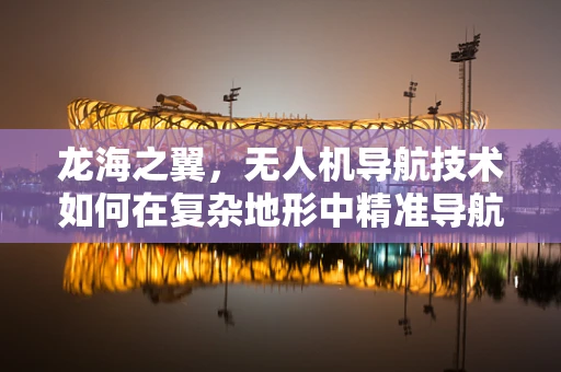 龙海之翼，无人机导航技术如何在复杂地形中精准导航？