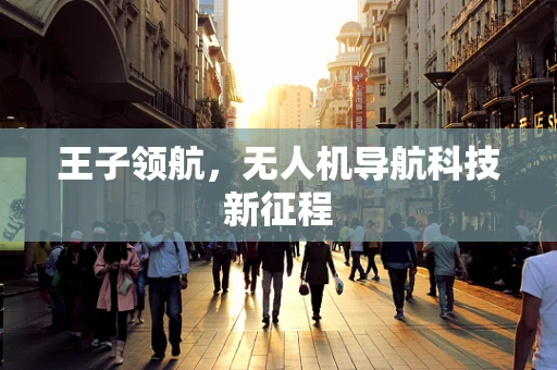王子领航，无人机导航科技新征程