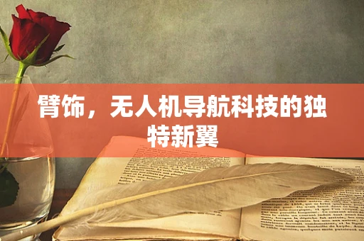 臂饰，无人机导航科技的独特新翼