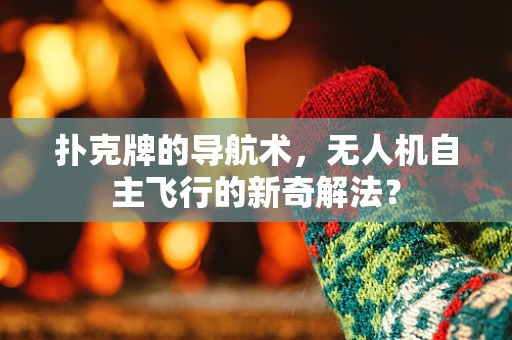 扑克牌的导航术，无人机自主飞行的新奇解法？