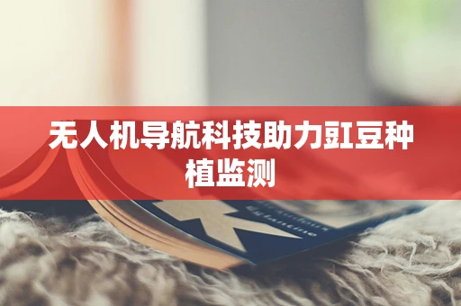 无人机导航科技助力豇豆种植监测