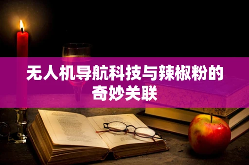 无人机导航科技与辣椒粉的奇妙关联