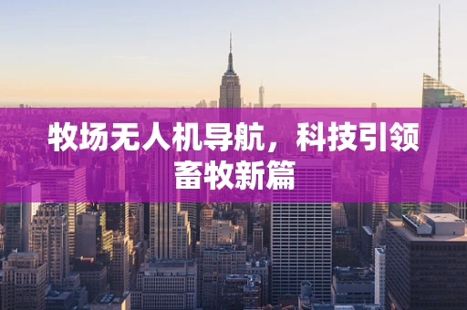 牧场无人机导航，科技引领畜牧新篇