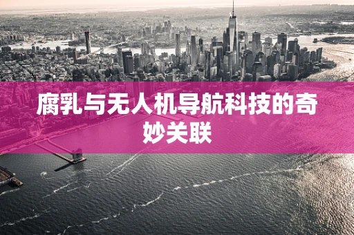 腐乳与无人机导航科技的奇妙关联