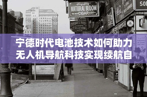 宁德时代电池技术如何助力无人机导航科技实现续航自由？