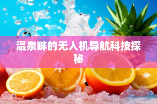温泉畔的无人机导航科技探秘