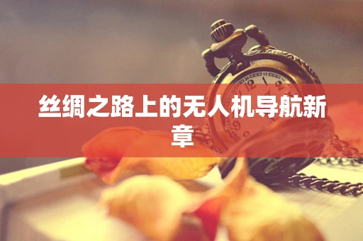 丝绸之路上的无人机导航新章