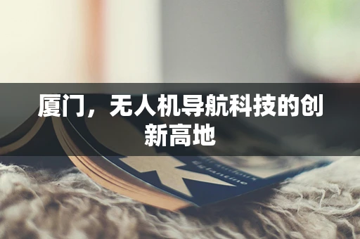 厦门，无人机导航科技的创新高地