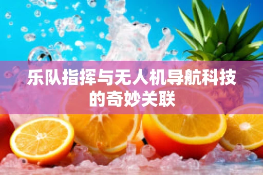 乐队指挥与无人机导航科技的奇妙关联
