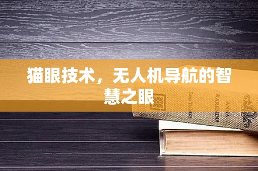 猫眼技术，无人机导航的智慧之眼