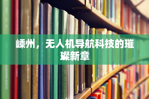 嵊州，无人机导航科技的璀璨新章